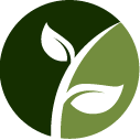 Evergreen Shrub Trimming Pros
