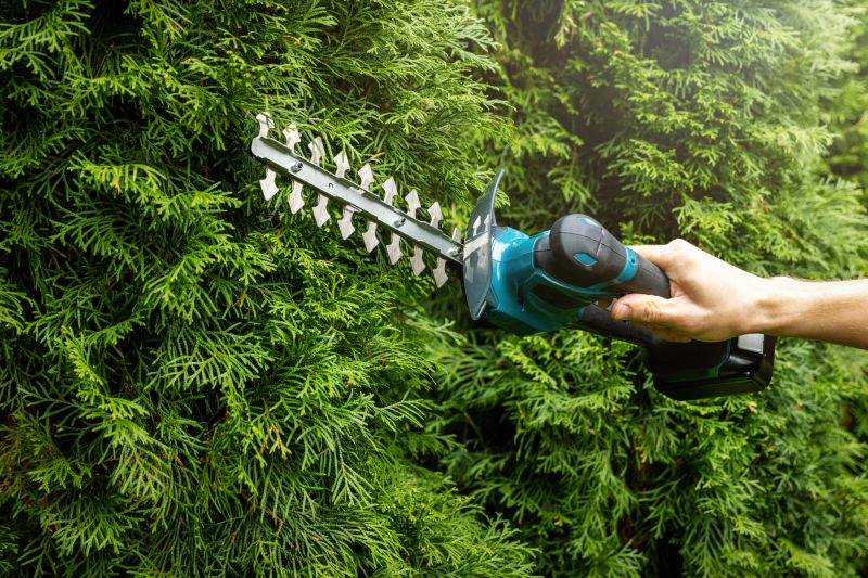 Evergreen Shrub Trimming