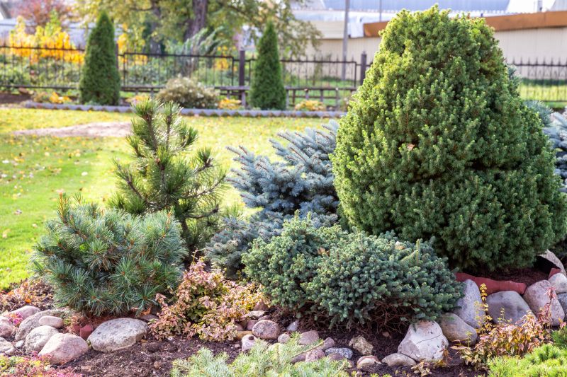 Trimmed Evergreen Bushes
