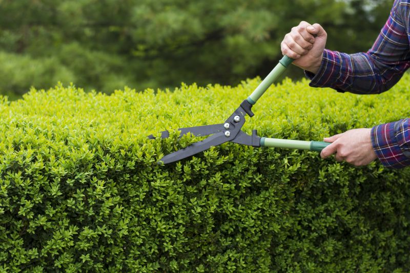 Healthy Shrub Maintenance