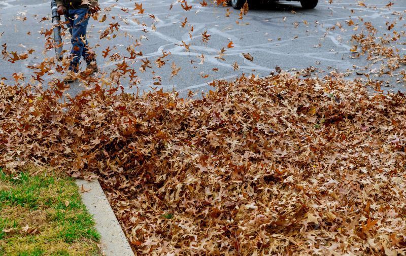 Lawn Being Cleared of Leaves