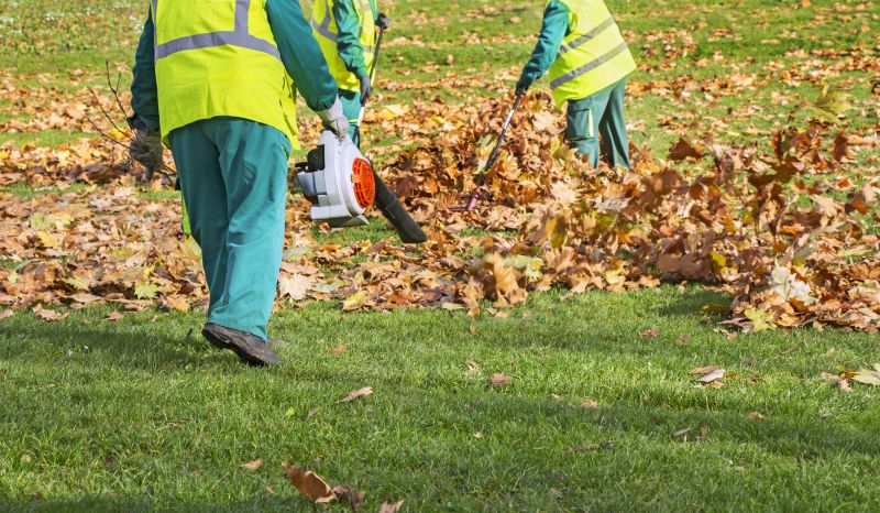 Community Leaf Clearing